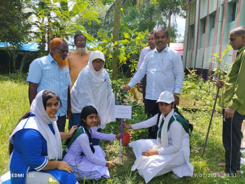 বৃক্ষ রোপণ কর্মসূচি